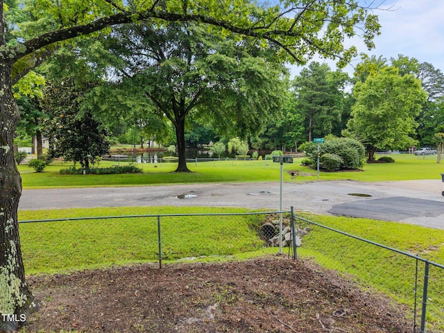 111 S Gaylee Lake Dr, Wendell, NC 27591 - view of yard with view of scattered trees