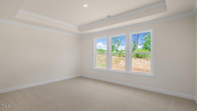 121 Gilmer St, Fuquay Varina, NC 27526 - empty room with a raised ceiling, light carpet, baseboards, and crown molding