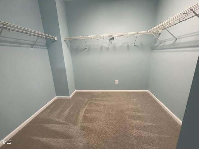 7241 Terregles Dr, Raleigh, NC 27617 - walk in closet with carpet floors