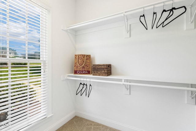 2628 Hunters Meadow Ln, Raleigh, NC 27606 - spacious closet featuring carpet flooring