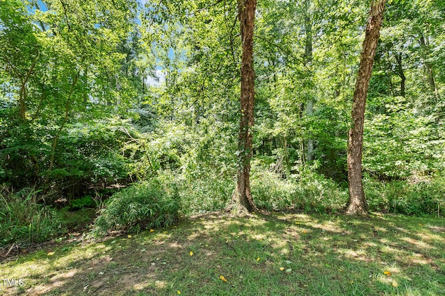 2628 Hunters Meadow Ln, Raleigh, NC 27606 - view of wooded area