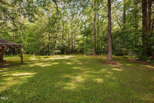 583 Old Home Place Ln, Durham, NC 27713 - view of grassy yard