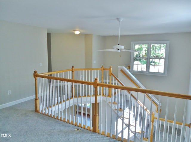 1104 Barrow Nook Ct, Apex, NC 27502 - hallway with an upstairs landing, carpet, and baseboards