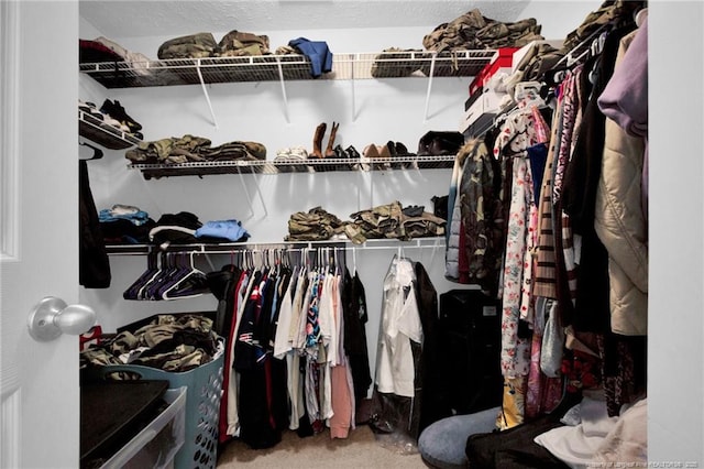 195 Cape Fear Rd, Raeford, NC 28376 - walk in closet featuring carpet