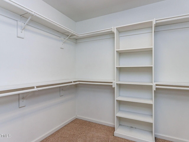 313 Hardwick Dr, Durham, NC 27713 - walk in closet featuring carpet floors