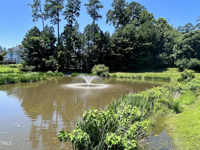 313 Hardwick Dr, Durham, NC 27713 - water view