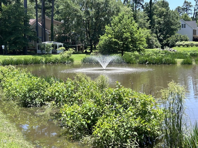 313 Hardwick Dr, Durham, NC 27713 - water view