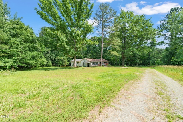211 Cool Spring Rd, Durham, NC 27713 - view of grassy yard with driveway and a forest view