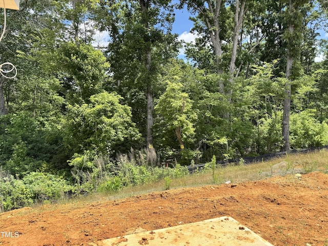 1087 Fairhaven Dr Lot 48, Mebane, NC 27302 - photo 3