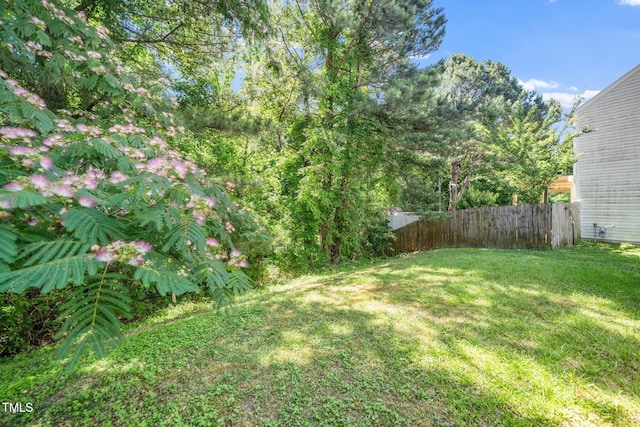 4009 Patriot Ridge Ct, Raleigh, NC 27610 - view of yard