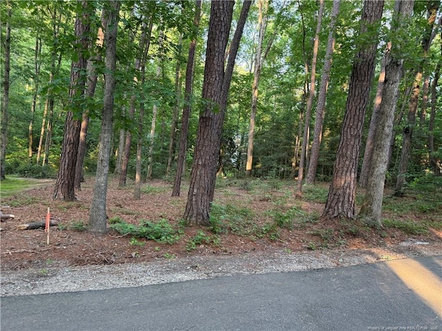 1538 Louisiana Ln, Sanford, NC 27332