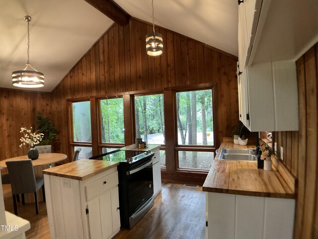102 Pebble Ct, Chapel Hill, NC 27516 - kitchen featuring wooden counters, stainless steel electric stove, lofted ceiling, wooden walls, and white cabinetry