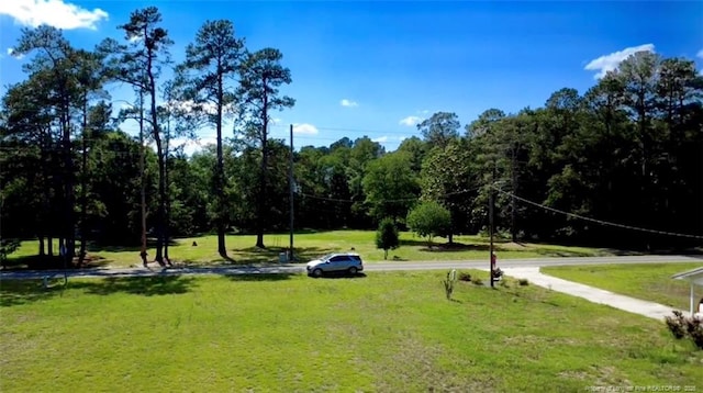 5089 Tobacco Rd, Orrum, NC 28369 - view of home's community featuring a lawn