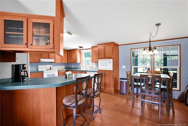 7504 Hidden Ln, Roseboro, NC 28382 - kitchen with white appliances, light wood finished floors, a peninsula, under cabinet range hood, and glass insert cabinets