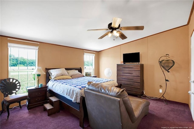 7504 Hidden Ln, Roseboro, NC 28382 - bedroom featuring carpet floors, lofted ceiling, ornamental molding, and ceiling fan