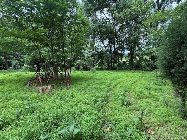 467 Deep River Rd, Sanford, NC 27330 - view of grassy yard