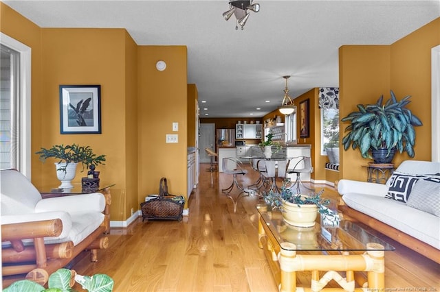 116 Fox Run Ct, West End, NC 27376 - living room with light wood finished floors, baseboards, and healthy amount of natural light