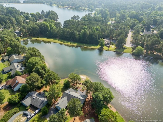 116 Fox Run Ct, West End, NC 27376 - aerial view of property and surrounding area featuring a large body of water and a forest