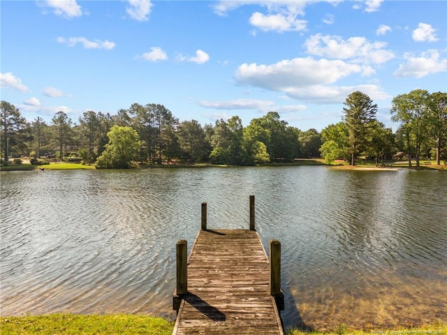 116 Fox Run Ct, West End, NC 27376 - dock with a water view