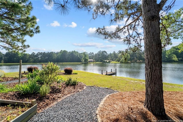 116 Fox Run Ct, West End, NC 27376 - water view