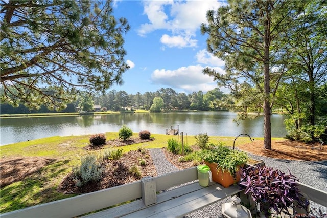 116 Fox Run Ct, West End, NC 27376 - water view