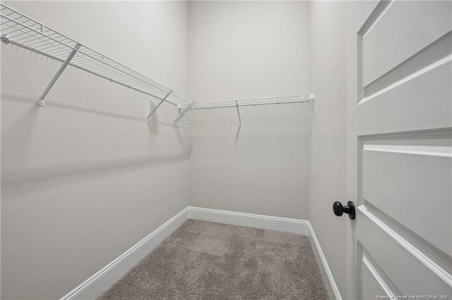 405 Gilpin Way, Cary, NC 27519 - walk in closet featuring carpet flooring