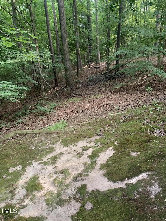 352 Riverstone Dr, Clayton, NC 27527 - view of wooded area