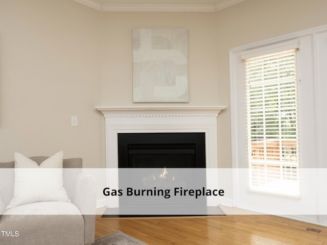 603 Red Cedar Cir, Durham, NC 27712 - detailed view of ornamental molding, wood finished floors, and a fireplace
