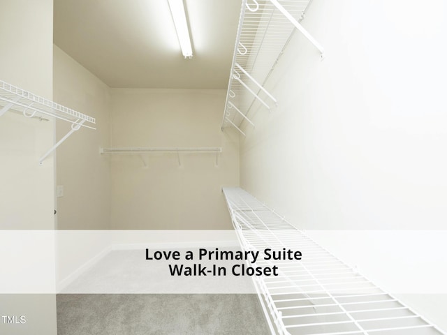 603 Red Cedar Cir, Durham, NC 27712 - walk in closet featuring carpet flooring