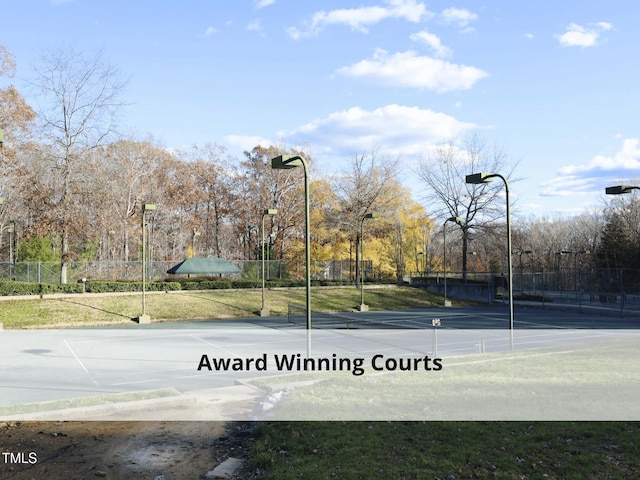 603 Red Cedar Cir, Durham, NC 27712 - view of basketball court
