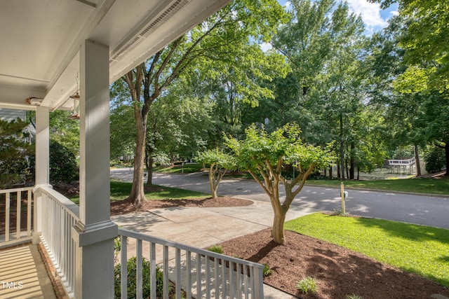203 Halls Mill Dr, Cary, NC 27519 - view of covered porch