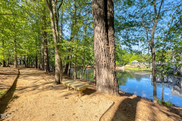 203 Halls Mill Dr, Cary, NC 27519 - view of yard with a water view
