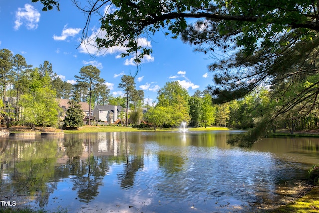 203 Halls Mill Dr, Cary, NC 27519 - water view