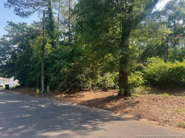 Blake St, Fayetteville, NC 28301 - photo 1
