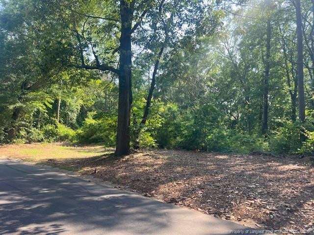 Blake St, Fayetteville, NC 28301 - photo 2