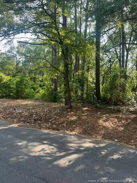 Blake St, Fayetteville, NC 28301 - photo 3