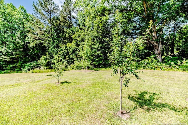 1001 Dycus Rd, Sanford, NC 27330 - photo 48