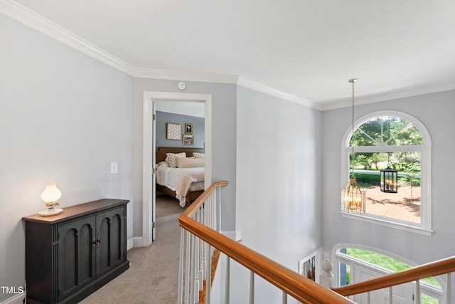 3304 Buck Run Trl, Wake Forest, NC 27587 - hallway featuring light carpet, an upstairs landing, and crown molding