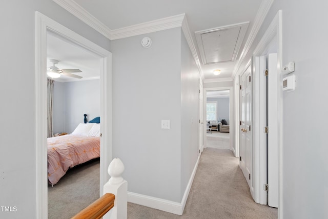 3304 Buck Run Trl, Wake Forest, NC 27587 - hallway featuring light carpet, attic access, and crown molding