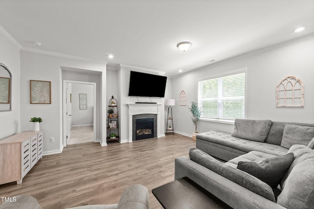 159 Clear Water Rd, Louisburg, NC 27549 - living room featuring crown molding, light wood-style floors, recessed lighting, baseboards, and a fireplace