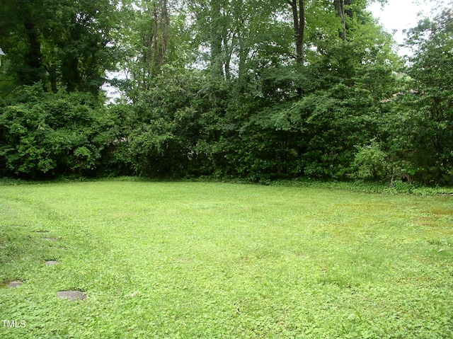 1809 S Garnett Ext, Henderson, NC 27536 - view of green lawn