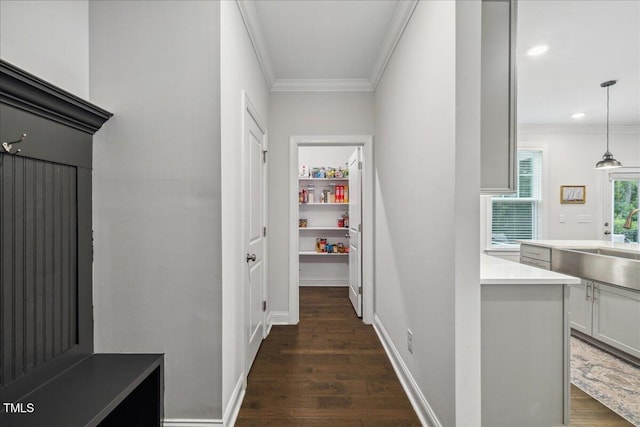 2009 Latham Oaks Ave, Wake Forest, NC 27587 - hall with a sink, ornamental molding, dark wood finished floors, baseboards, and recessed lighting
