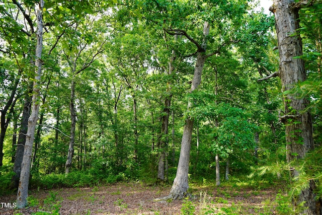 52.8ACRES Atkins Rd, Mebane, NC 27302