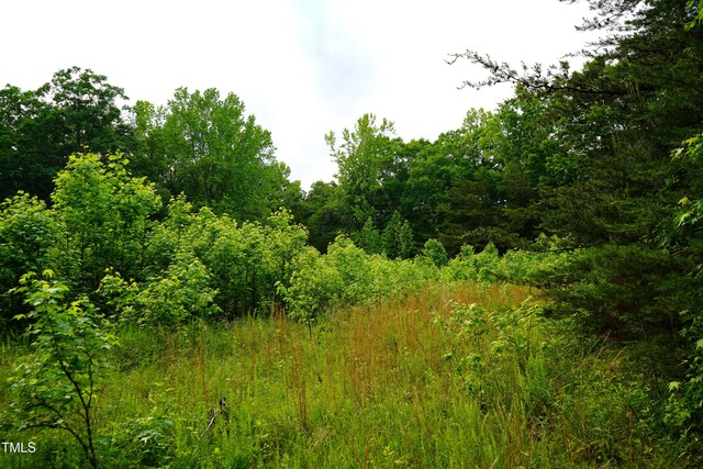 52.8ACRES Atkins Rd, Mebane, NC 27302