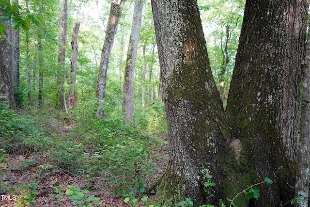 52.8ACRES Atkins Rd, Mebane, NC 27302