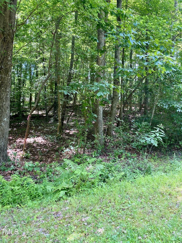 100 Cherokee Dr, Louisburg, NC 27549