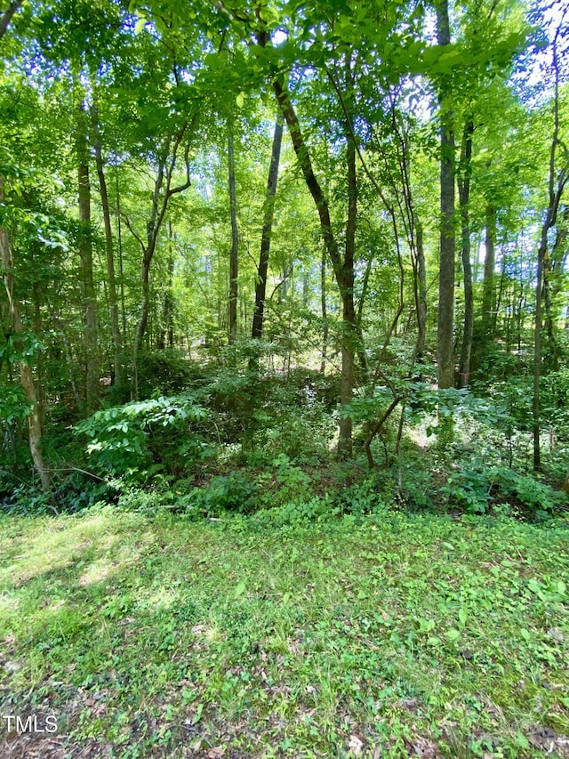 100 Cherokee Dr, Louisburg, NC 27549