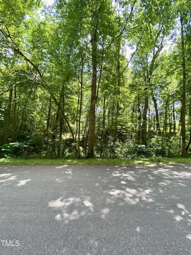 100 Cherokee Dr, Louisburg, NC 27549