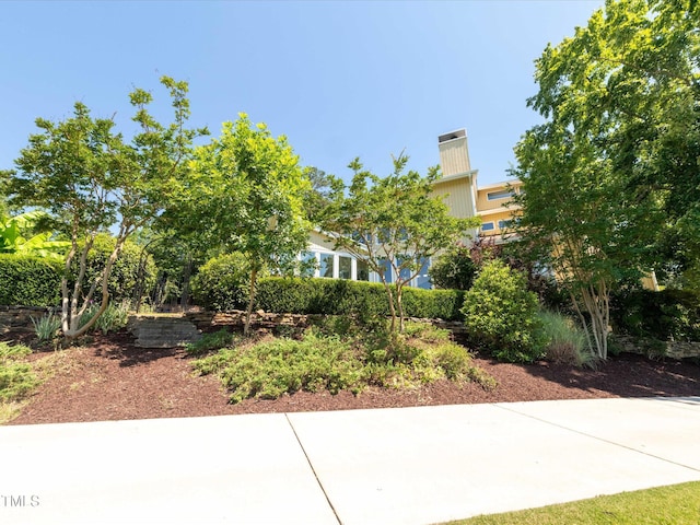 112 Lancaster Dr, Chapel Hill, NC 27517 - view of yard