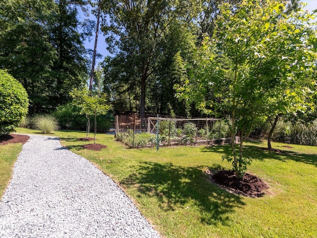 112 Lancaster Dr, Chapel Hill, NC 27517 - view of property's community featuring a vegetable garden and a lawn
